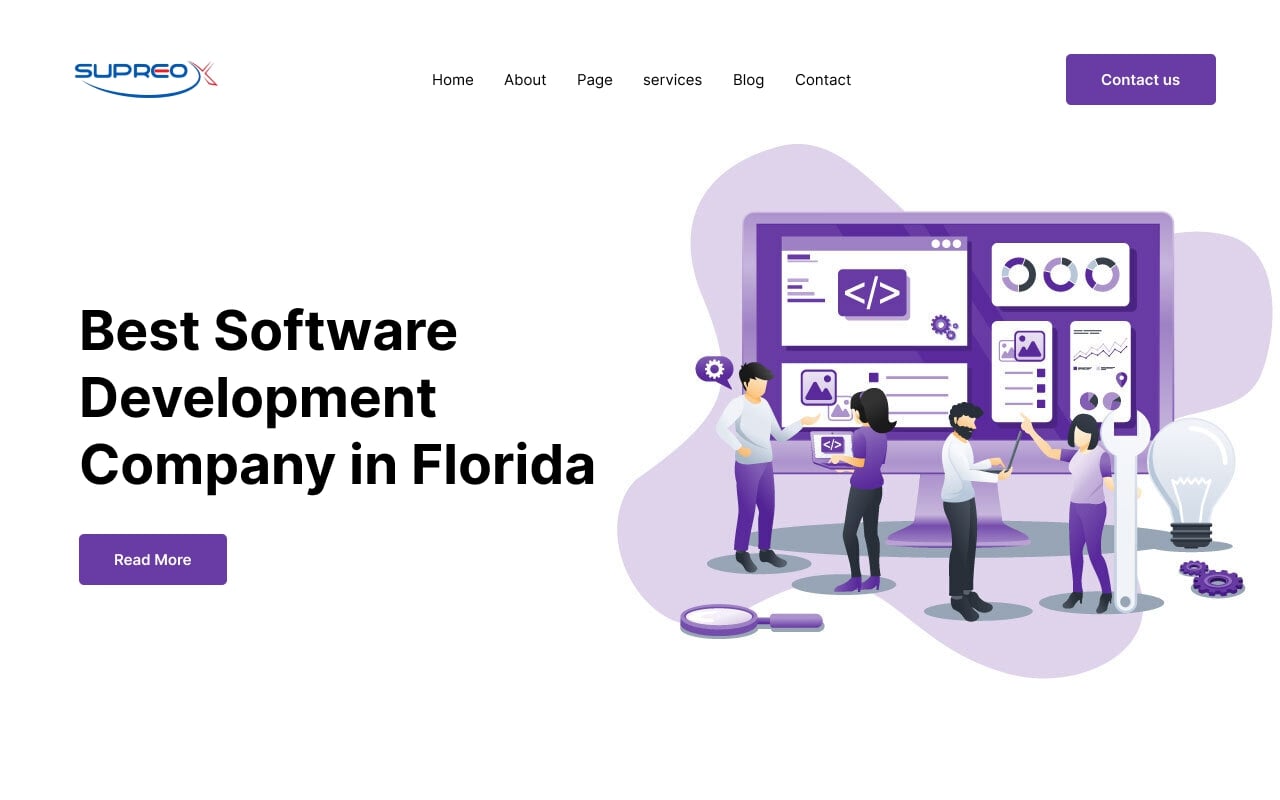 Software development services