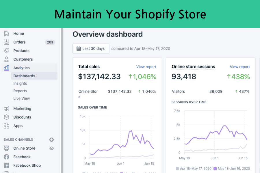 Maintaining Your Shopify Store