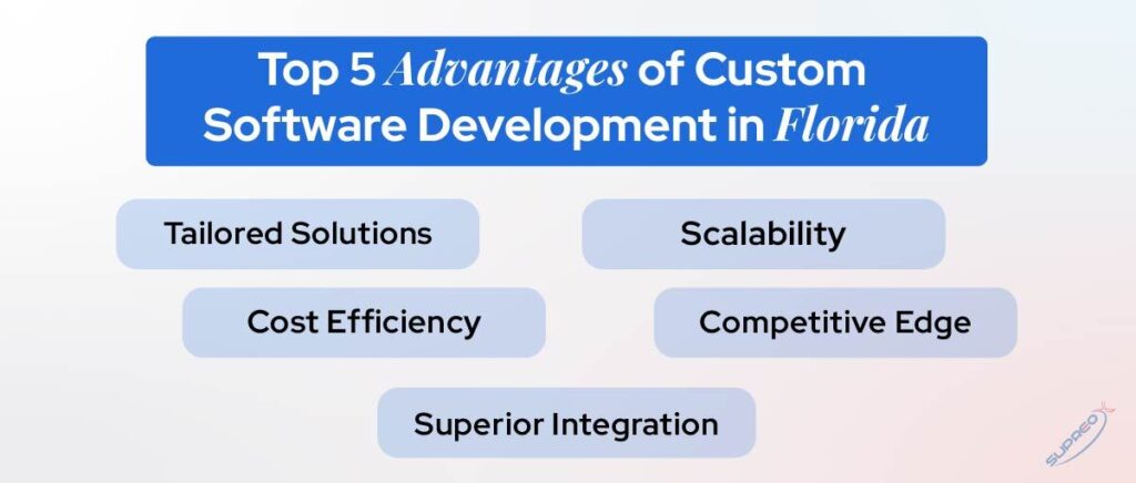 Top 5 Advantages of Custom Software Development in Florida