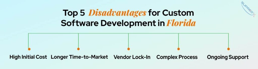 Top 5 Disadvantages for Custom Software Development in Florida